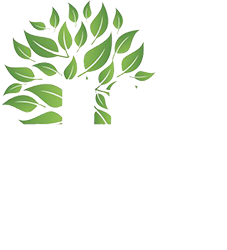 Life Church Rockland Logo